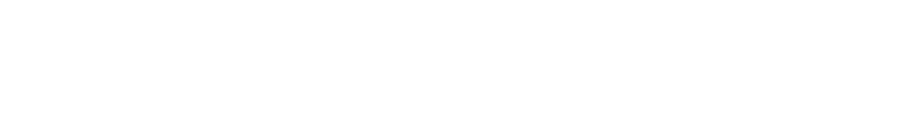 Novaturients-Logo-white